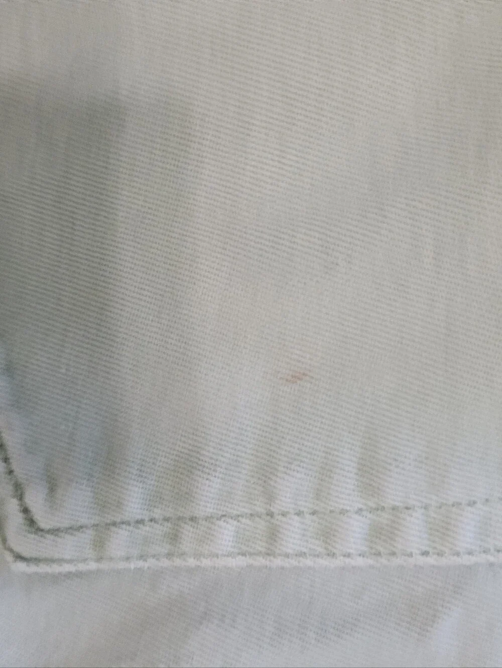 Everlane Organic Cotton Straightleg Seafoam Jeans 31 Tall Pastel Chic Streetwear